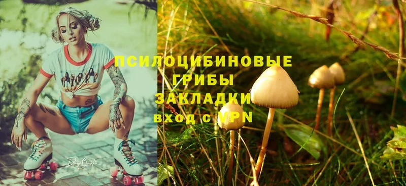 Псилоцибиновые грибы Psilocybine cubensis  blacksprut как зайти  Красавино 